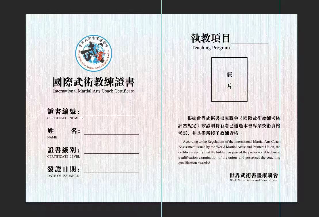 国际武术教练